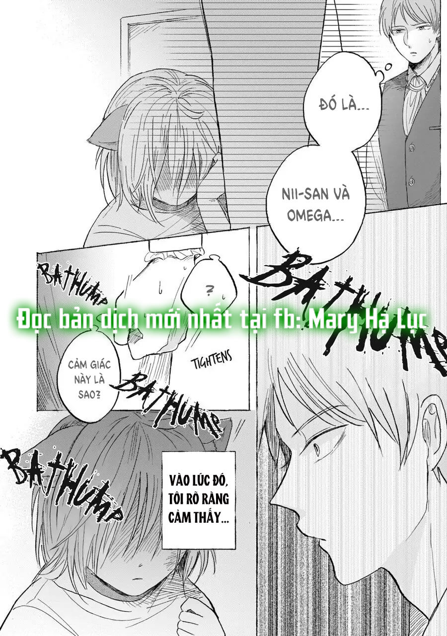 neko mimi omegaverse chapter 6.1 8