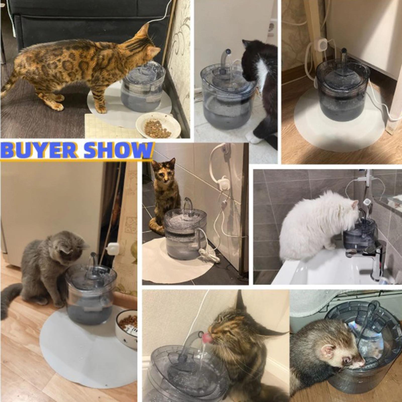 1.8L Pet Drinking Water Filter Dispenser  Water Fountain Dispenser