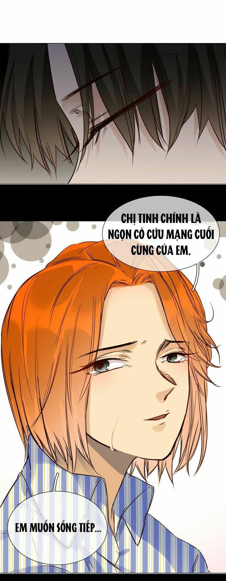 ngôi sao vụn vỡ chapter 22 41