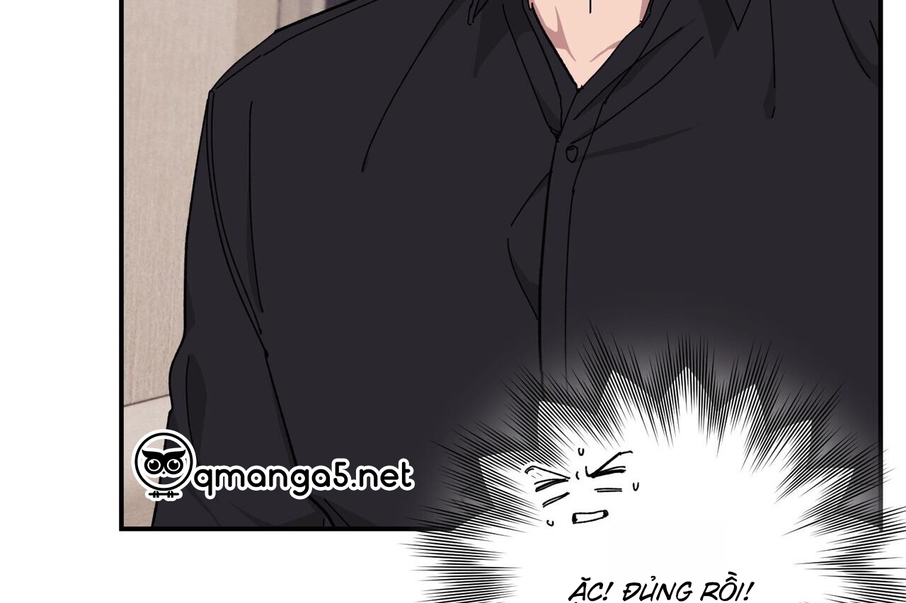 chàng dâu nhà họ kang chapter 33 107