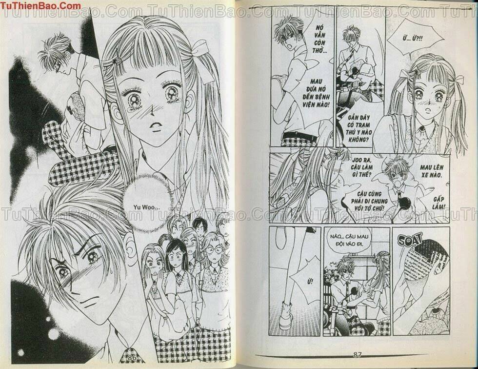 xin lỗi tớ thích cậu chapter 4 43