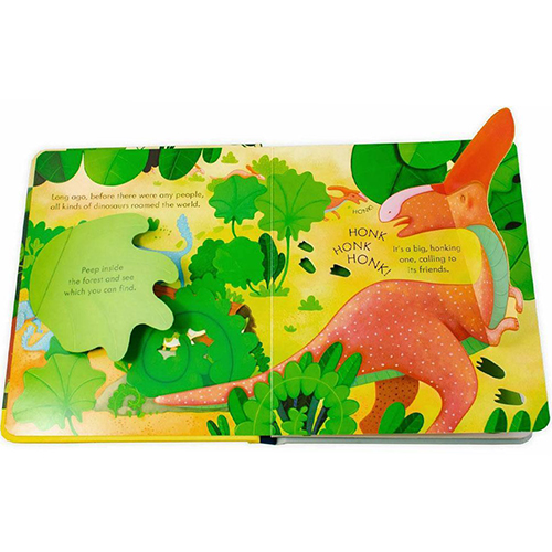 Usborne Peep Inside Box Set (Contains 06 Books)