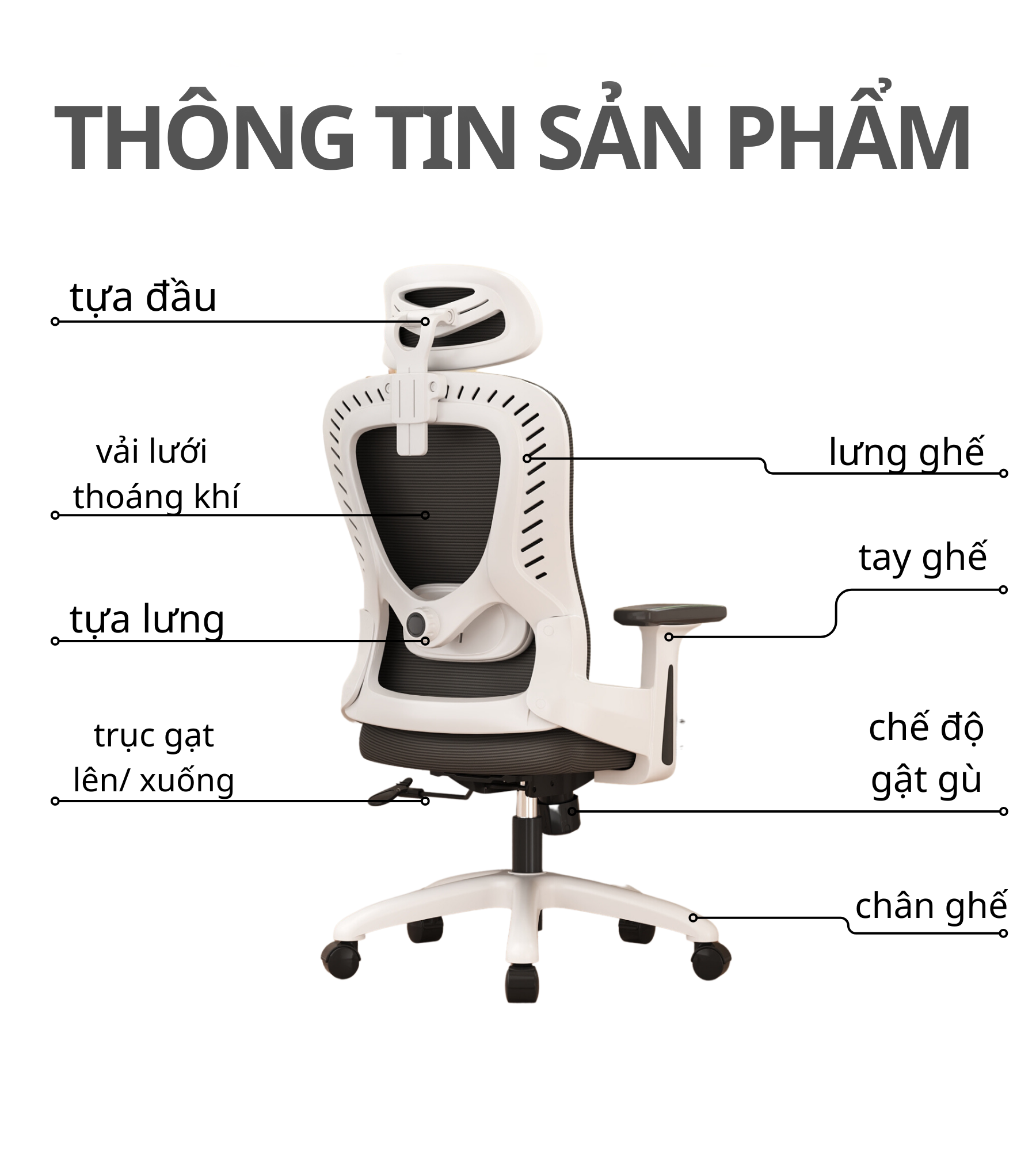 Ghế Công Thái Học CTH-13 Takara, Ghế Văn Phòng Chân Xoay, Ghế Làm Việc Xoay 360 Chất Lượng Cao