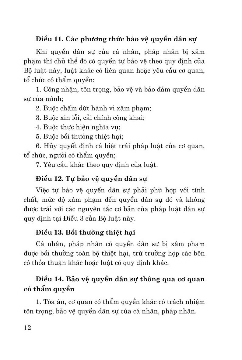 Bộ luật Dân sự ( Hiện hành) - (bản in 2024)