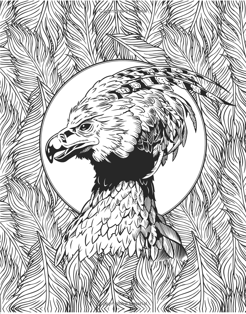 Sách ngoại văn: Harry Potter Magical Creatures Colouring Book 2