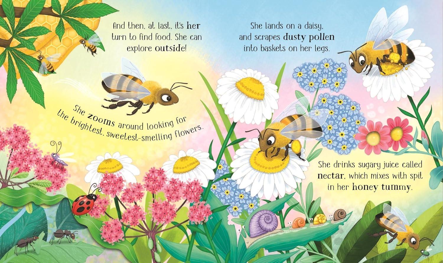 Sách ngoại văn: One Little Bee