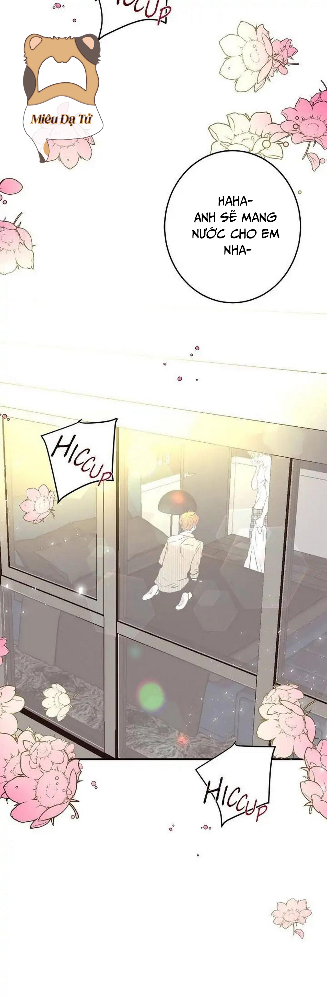 mối quan hệ phù hợp chapter 25 21