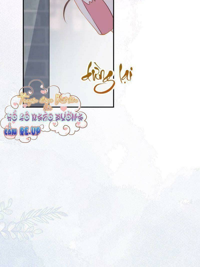 quận chúa vững vàng, thiết lập nhân vật không thể vỡ chapter 17 39