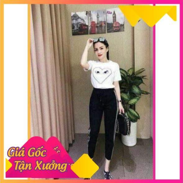 Quần baggy 2 sọc siu đẹp chất cotton dày mịn cạp chun thời trang Banamo Fashhion quần baggy 2 sọc 813