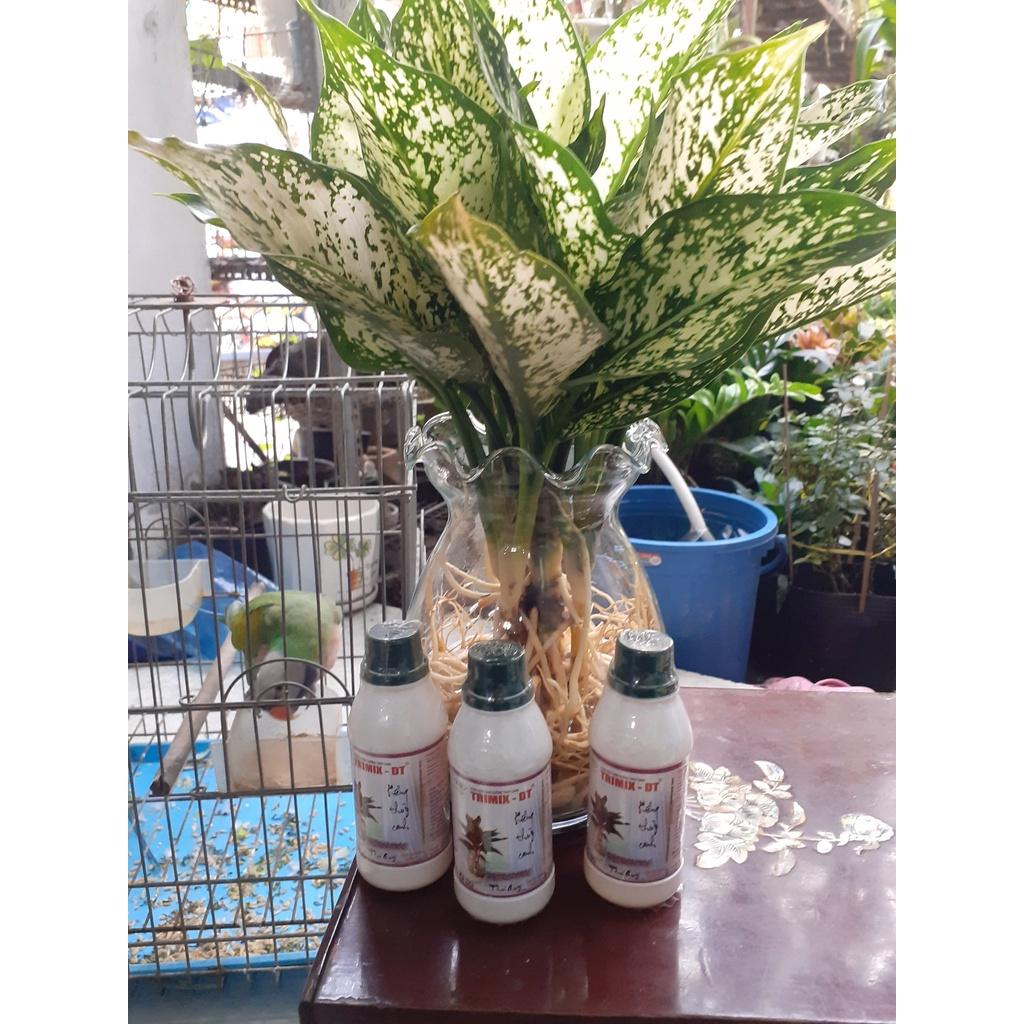 100ml trimix dt 38 cành.