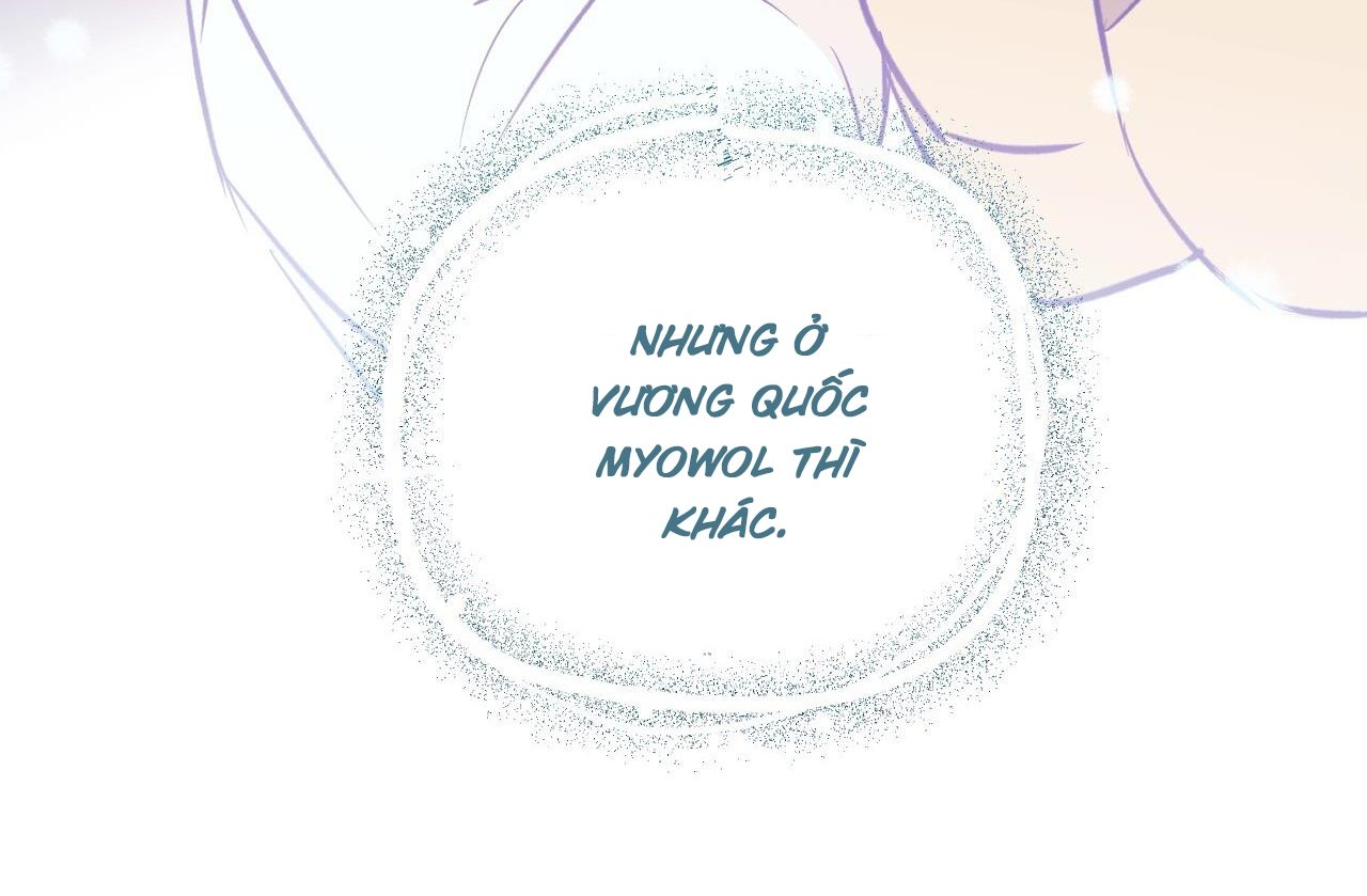 những chú thỏ của hapypy chapter 61 131