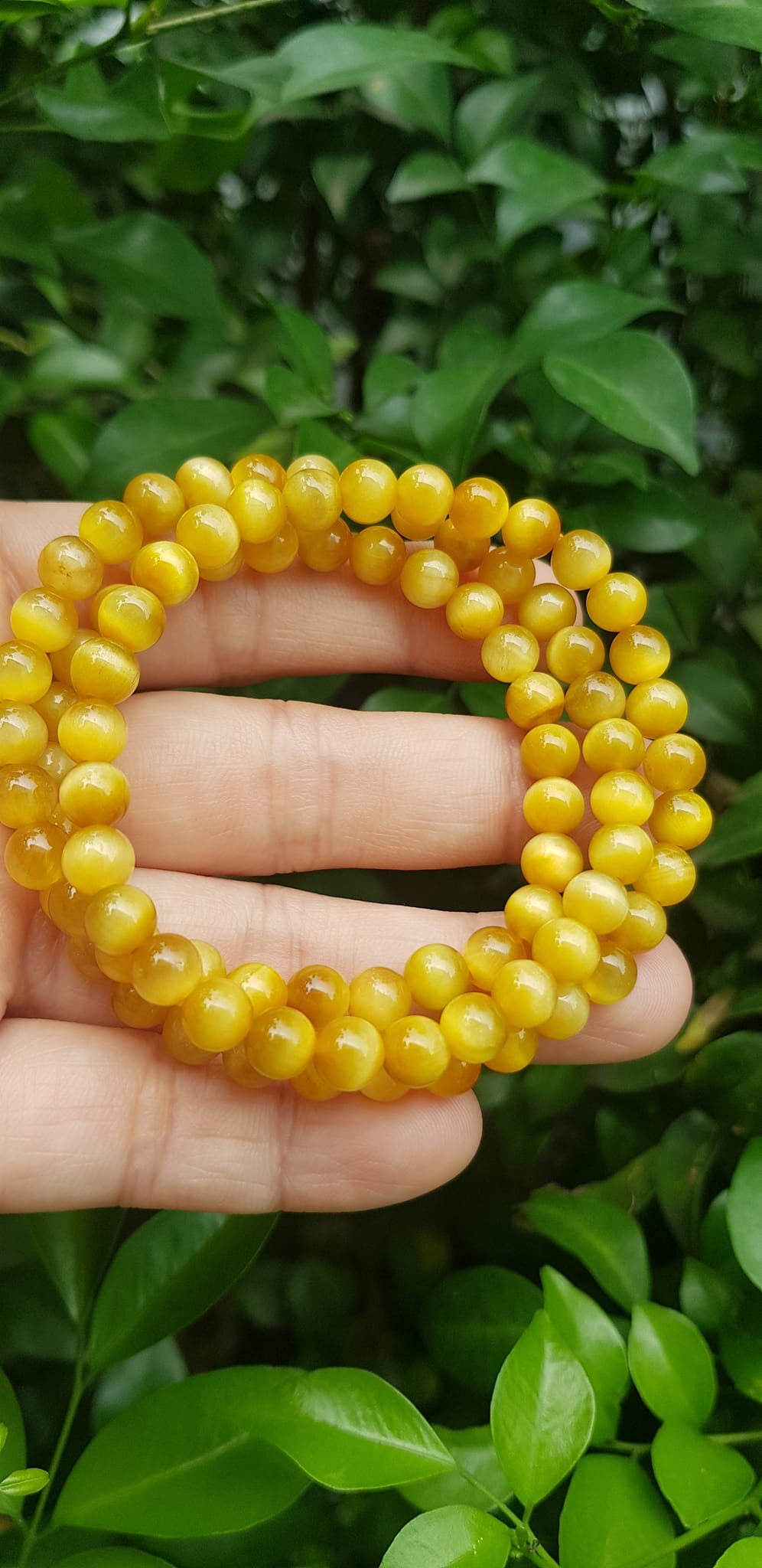 Vòng tay nữ đá mắt hổ tự nhiên vàng anh vip 6mm quấn tay 3 vòng đẹp vòng màu vàng anh tươi đẹp hợp nữ mệnh kim mệnh thổ mệnh thuỷ đeo tay may mắn xinh đẹp sang tay ạ