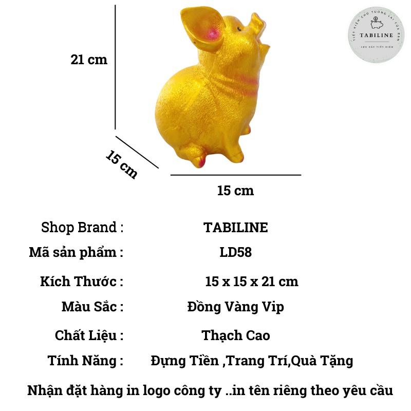 Lợn đất heo đất ống heo tiết kiệm tiền TABILINE Tai vểnh vàng đồng vip LD58