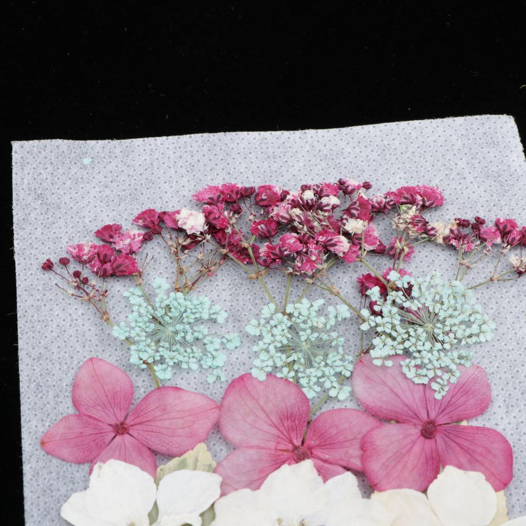 1 Bag Of Real Dried Pressed Flowers Leaves Assorted Colors for Making Greeting Card and Crafts, 2 - 3cm