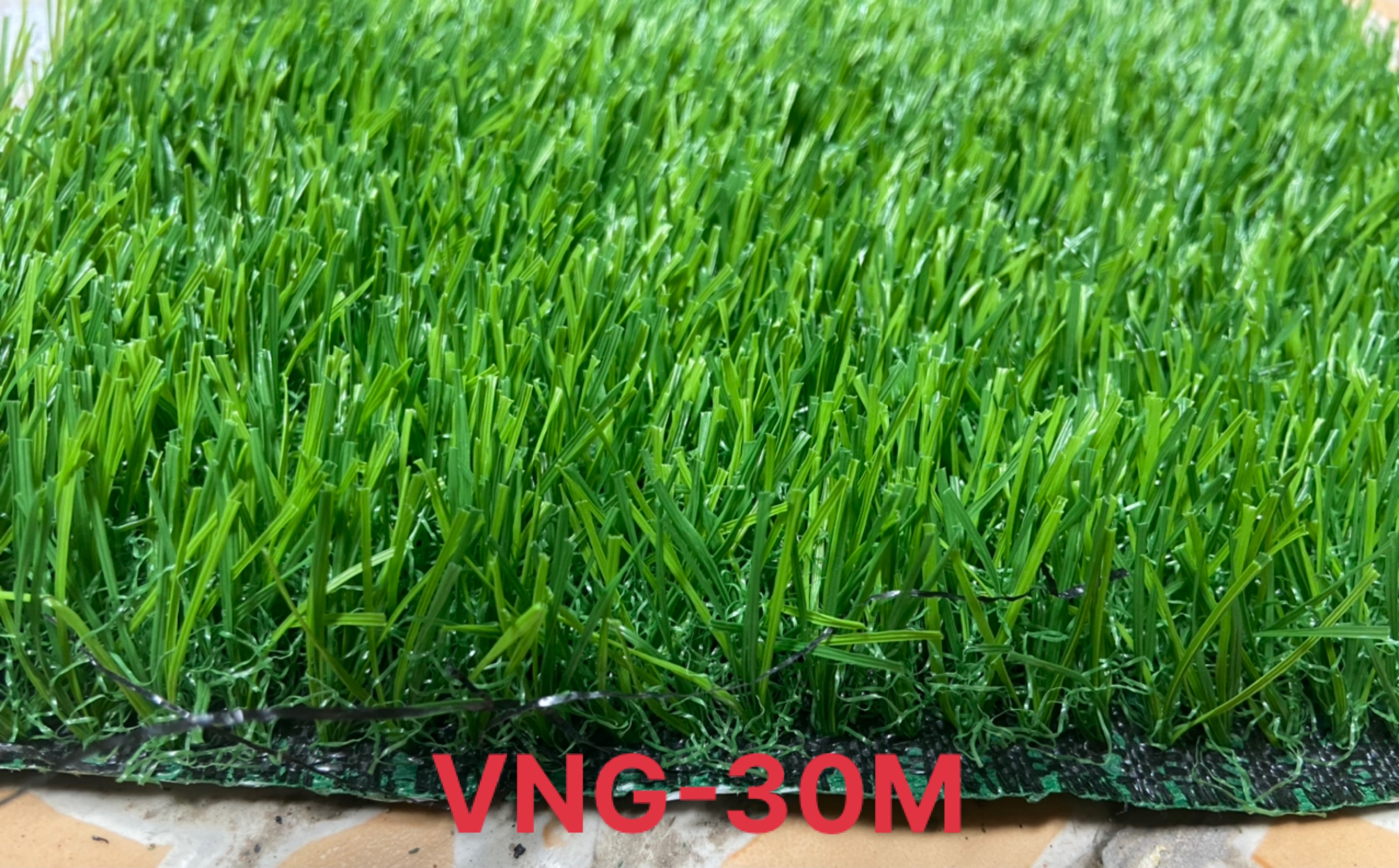 Thảm cỏ nhân tạo 3cm cao cấp, dày dặn, sợi cỏ cứng cáp, chống tia UV, phai màu, mục sợi, BH lên tới 5 năm