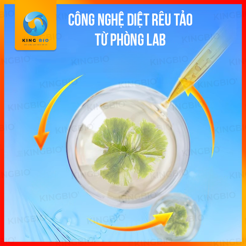 Chế phẩm sinh học diệt rêu tảo Yee Algaecide - diệt rêu tảo bể cá, bể thủy sinh không gây hại cho cá