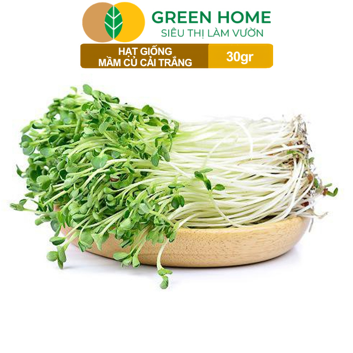 Hạt Giống Mầm Củ Cải Trắng GreenHome,Gói 30g, Dễ Trồng, Nảy Mầm Cao, Năng Suất Cao R10