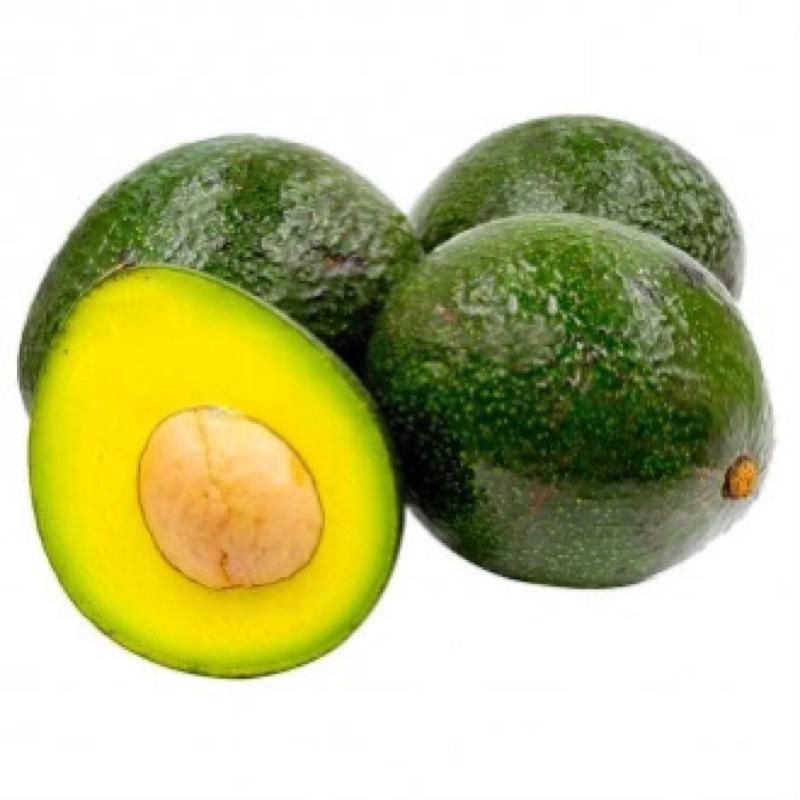 Cây bơ sáp quả to tròn rất dễ trồng và chăm sóc