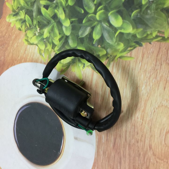 Mô bin sườn cao áp DÀNH CHO xe Dream - TB2128