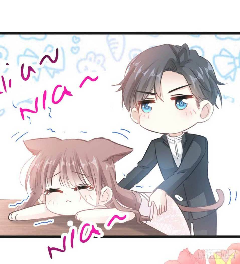 bá đạo tổng tài nhẹ nhàng yêu chapter 47.1 19