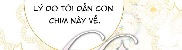 công chúa của loài chim chapter 51.1 334