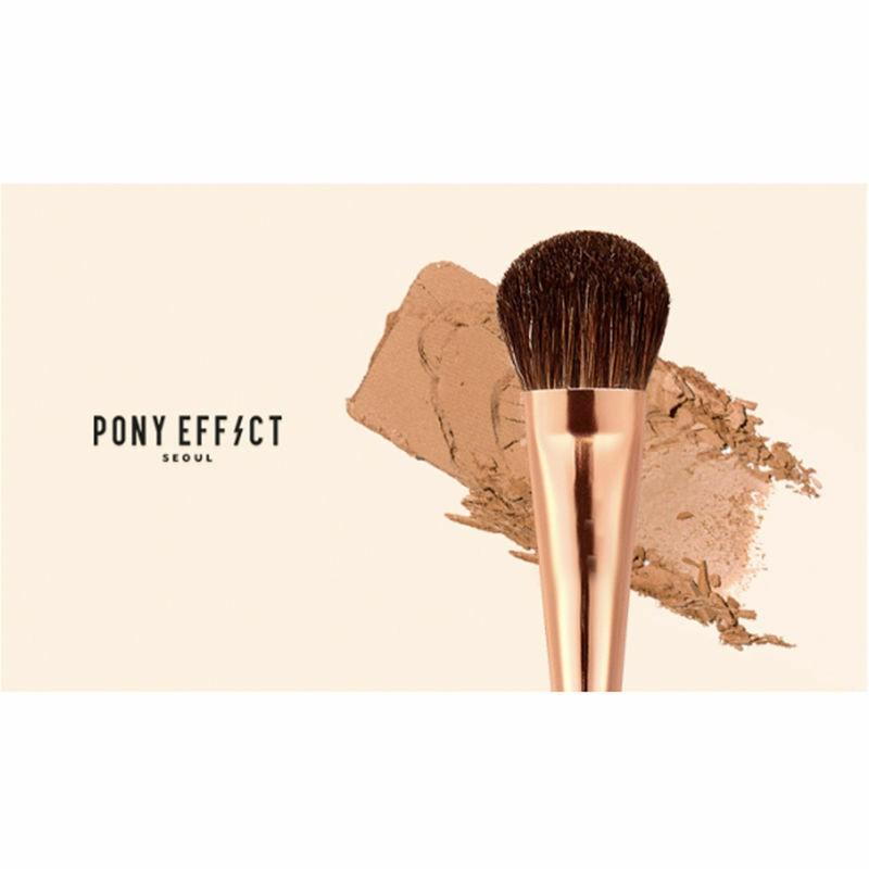 Cọ Highlight Pony Effect Magnetic - 102