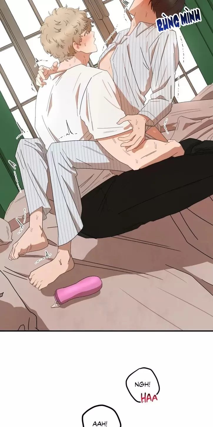 liveta chapter 25 30