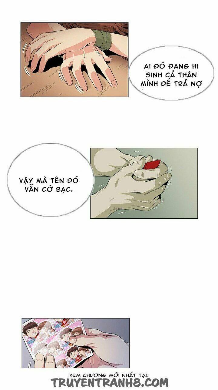 by chance chapter 24 28