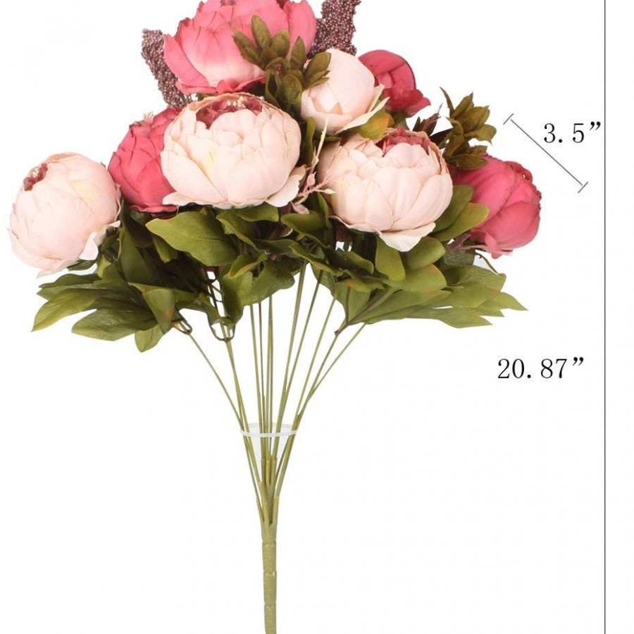 Hoa cẩm chướng cao cấp Peony