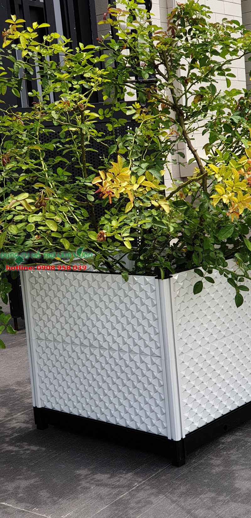 Chậu ghép nhật đáy 42*51cm cao 48cm - chậu trồng rau thông minh - màu trắng