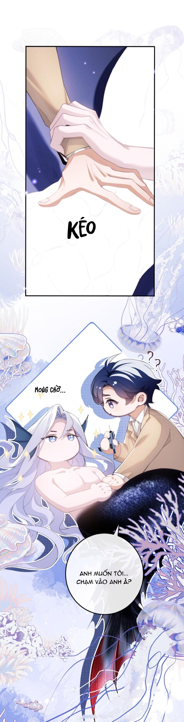 nhân ngư dessaro chapter 4 12