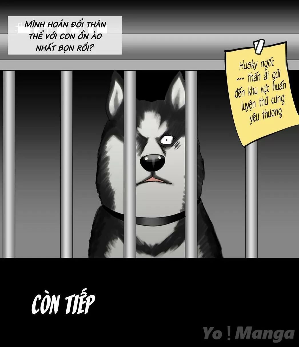 một con chó chapter 56 10