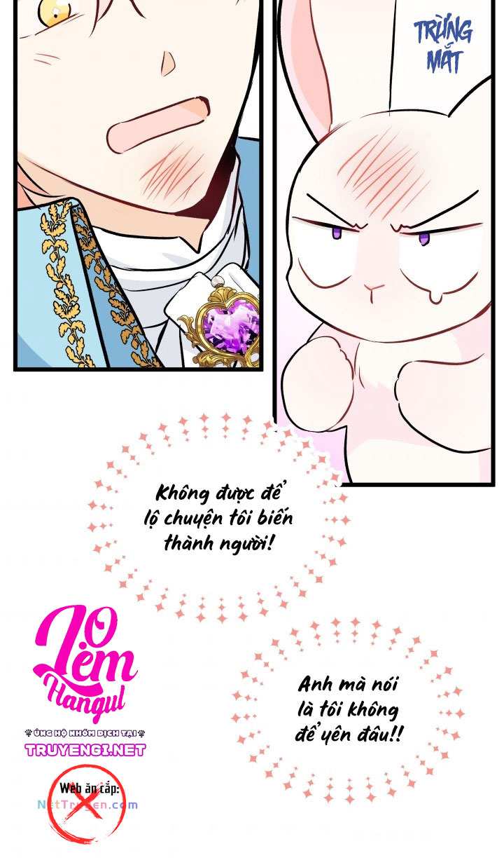 mối liên kết giữa báo đen và bé thỏ chapter 21 18