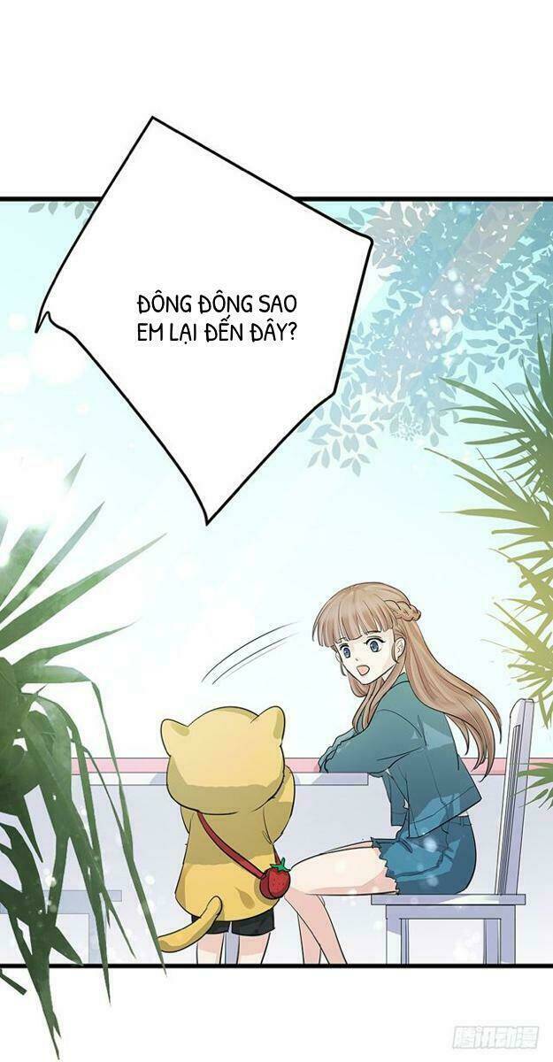 chào buổi sáng, ức vạn manh thê chapter 4 42