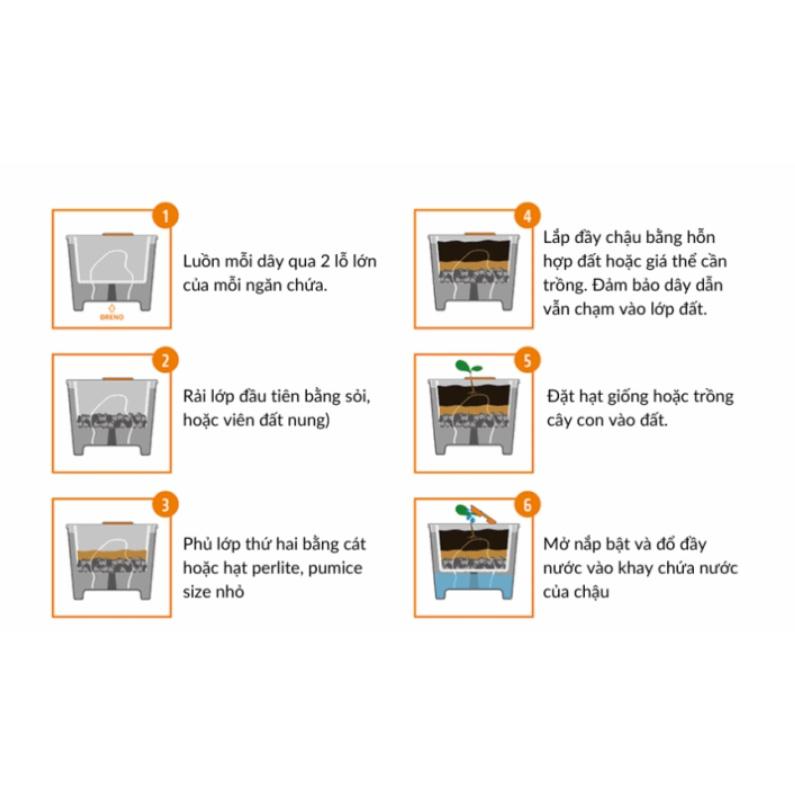 Chậu nhựa tự tưới PY cao cấp- trồng rau , hoa , sen đá