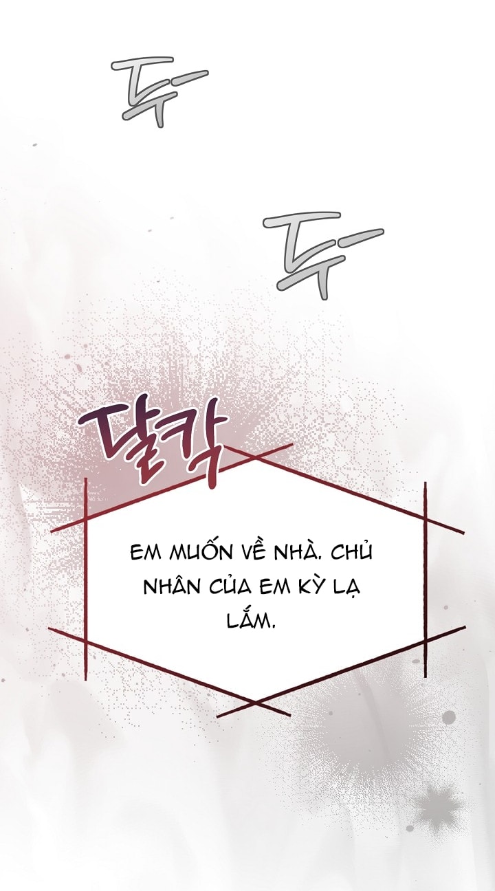 [18+] hãy cầu xin ta đi chapter 9.1 17