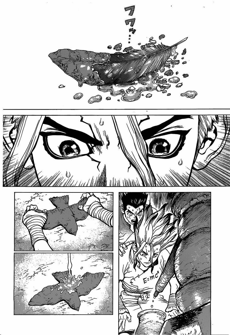 dr.stone - hồi sinh thế giới chapter 2 21