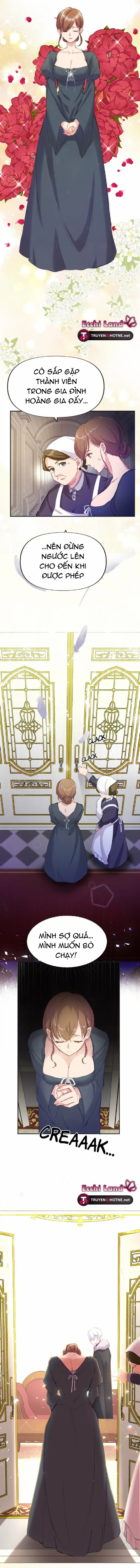 cô dâu lừa dối và chàng sư tử hung dữ chapter 2.1 7