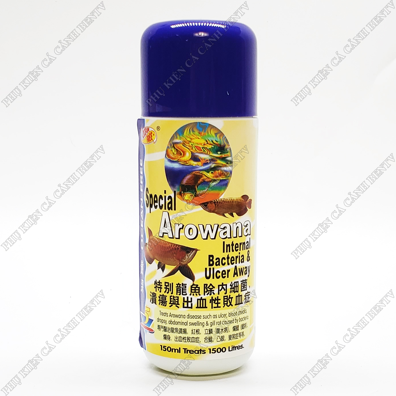 Chai Số 5 Diệt Nấm Đen Kênh Vảy Cho Cá Rồng