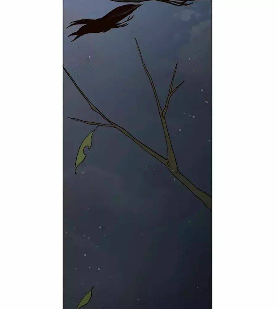 ngôi sao vụn vỡ chapter 28.5 4