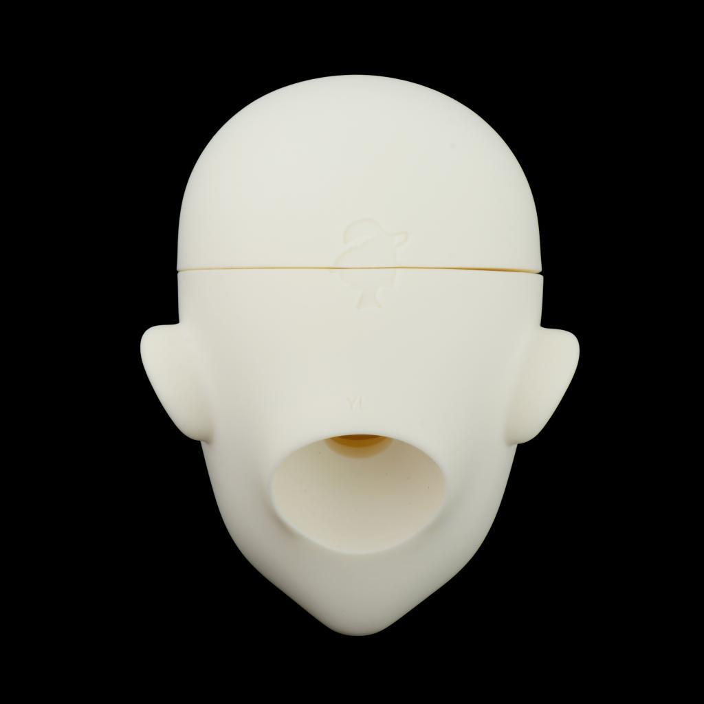 BJD Doll 1/ Jointed Girl Dolls Face  Makeup