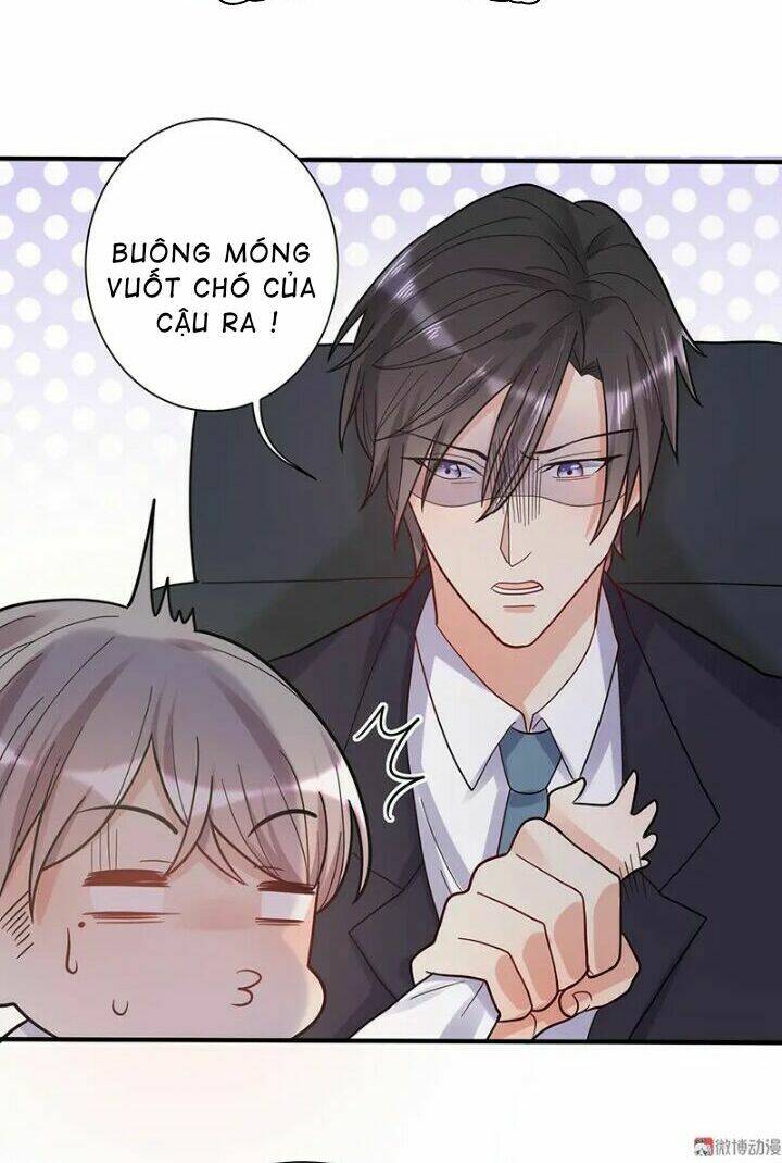 tổng tài truy thê: phu nhân đừng hòng trốn chapter 25 10