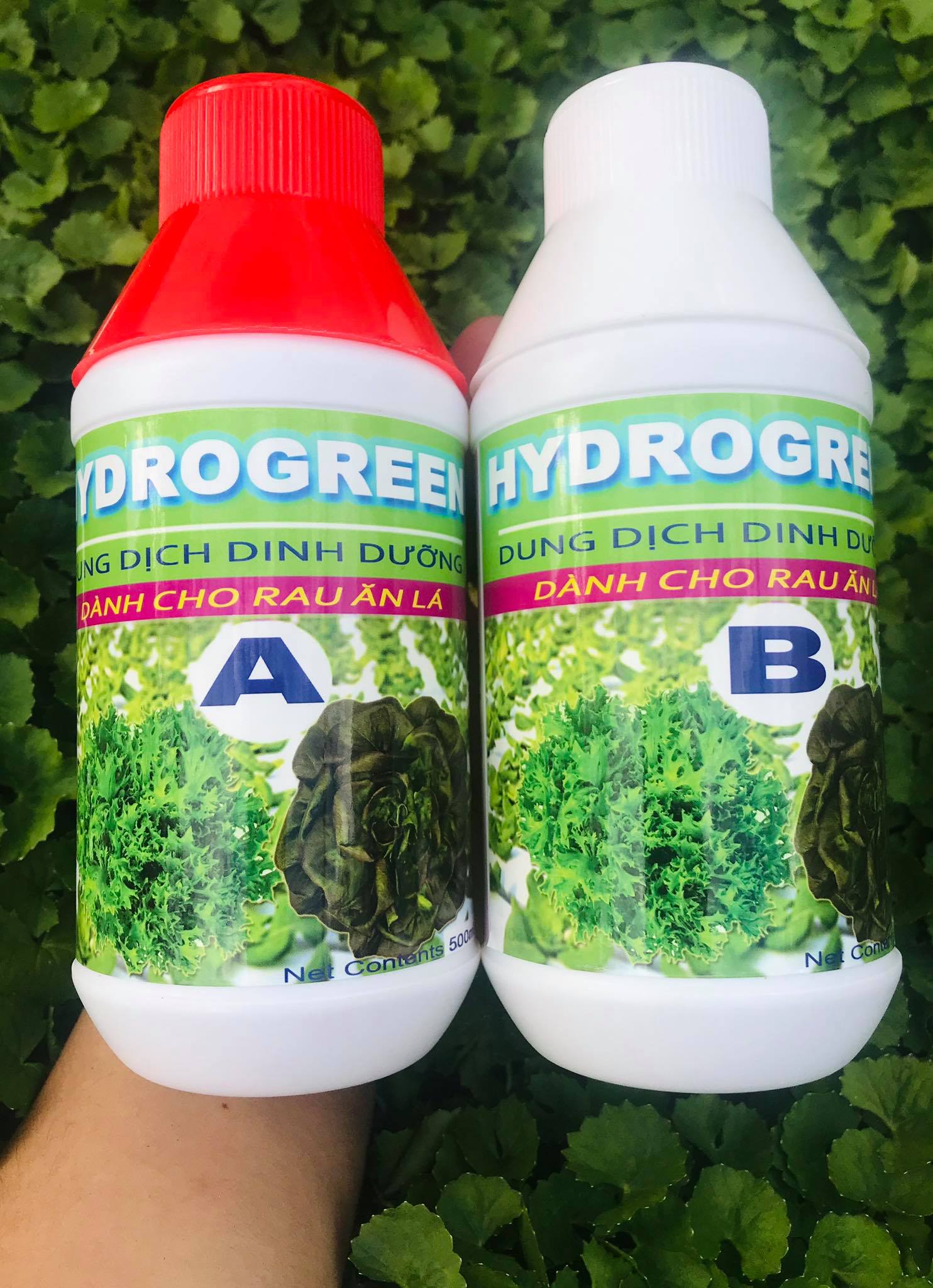 Dung Dịch Thuỷ Canh HYDROGREEN PART A &amp; B 500ml