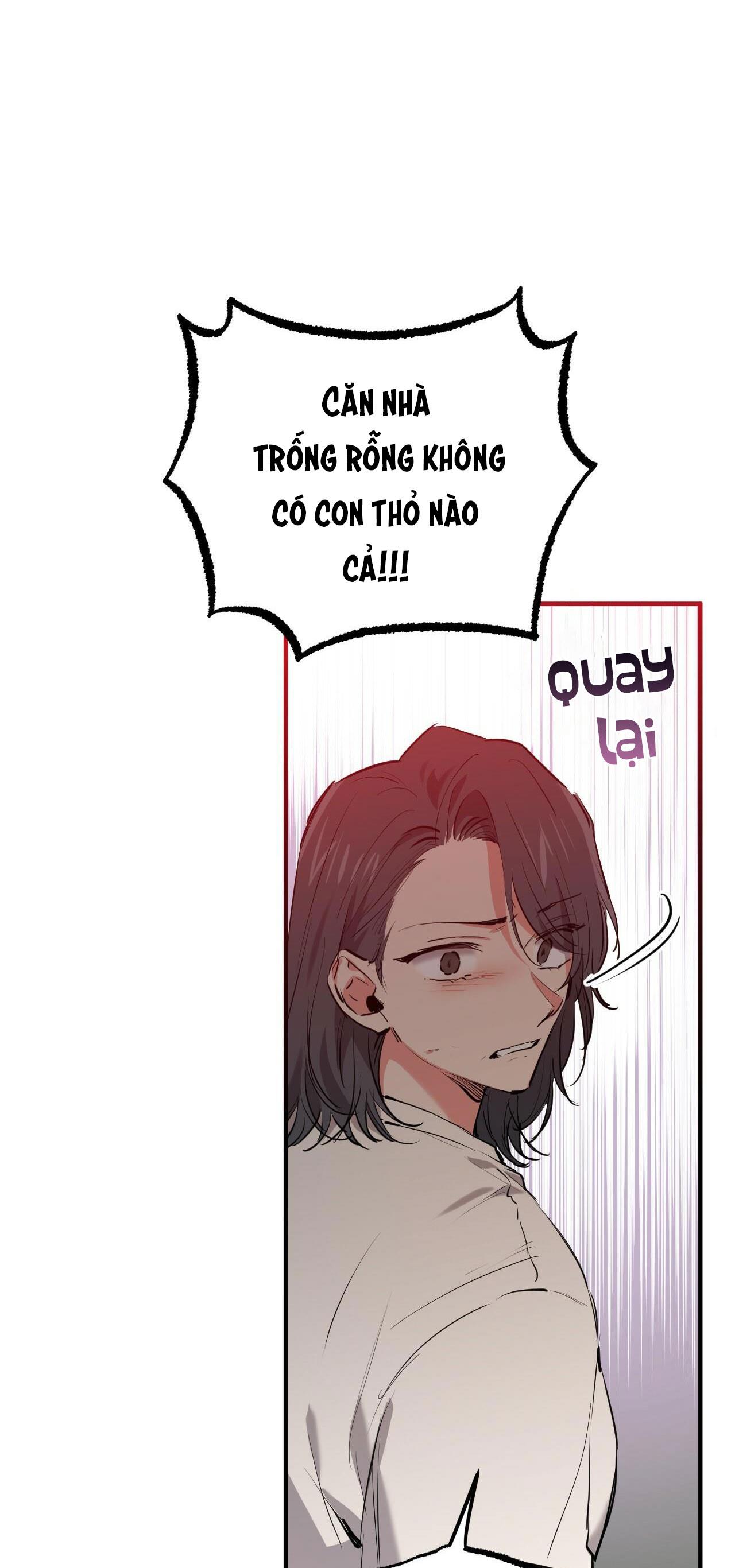 những chú thỏ của hapypy chapter 36 69