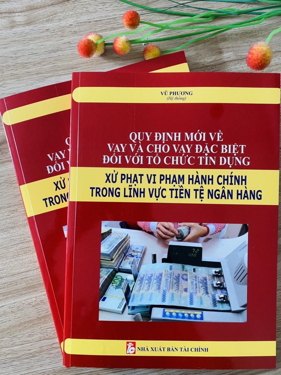 Quy định mới về vay và cho vay đặc biệt đối với tổ chức tín dụng – xử phạt hành chính trong lĩnh vực tiền tệ ngân hàng