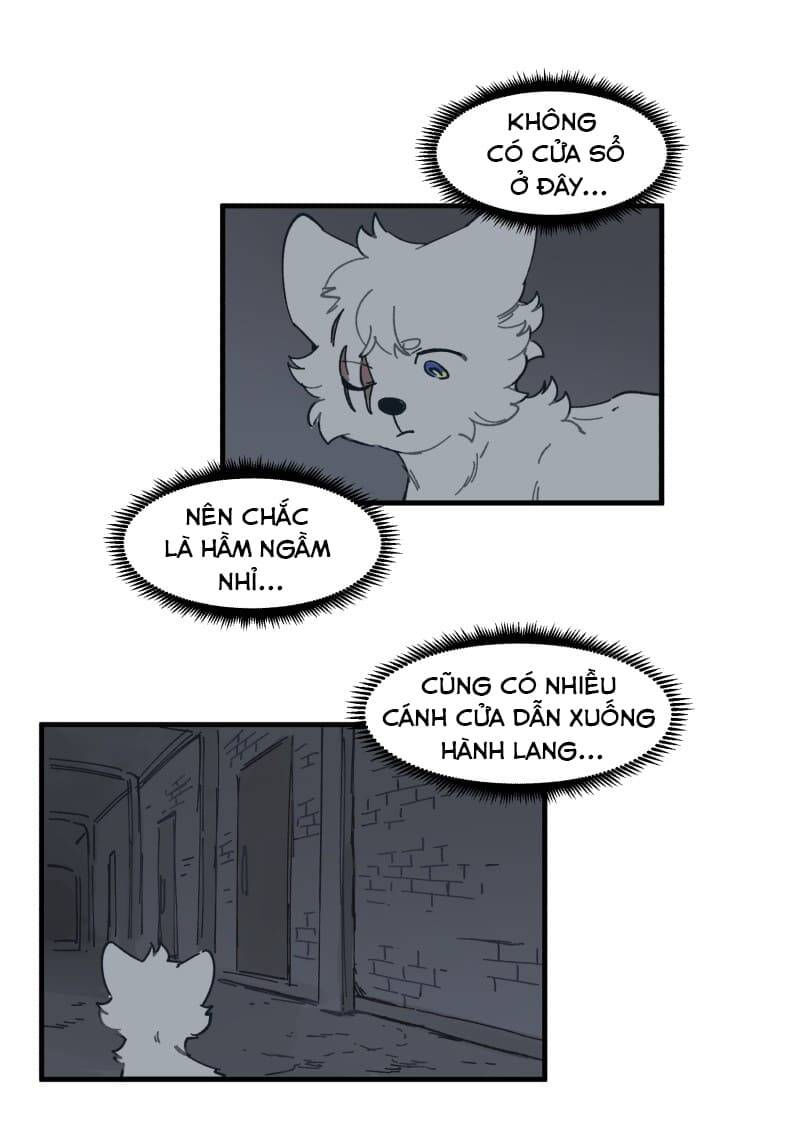 lumine - cội nguồn ánh sáng chapter 141 21