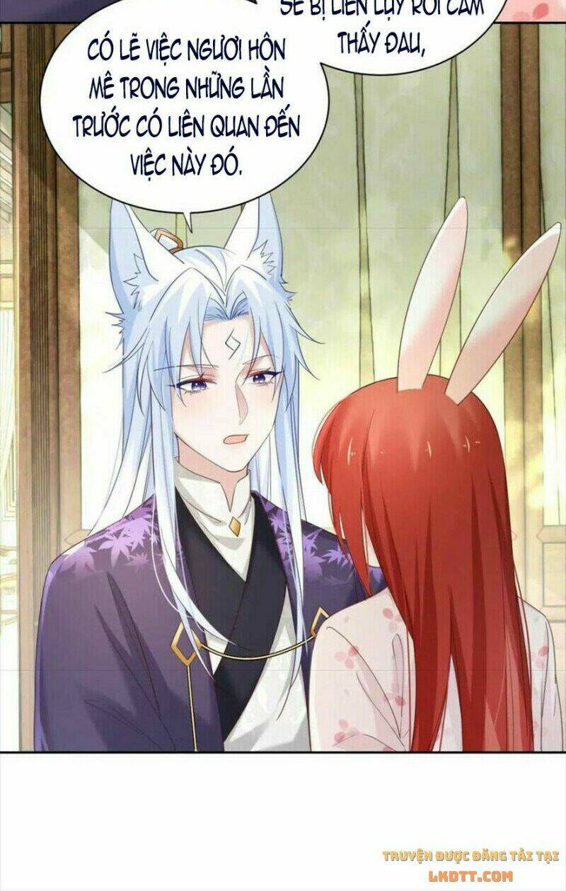 hắc hóa nam chính trực tuyến nuôi thỏ chapter 60 22