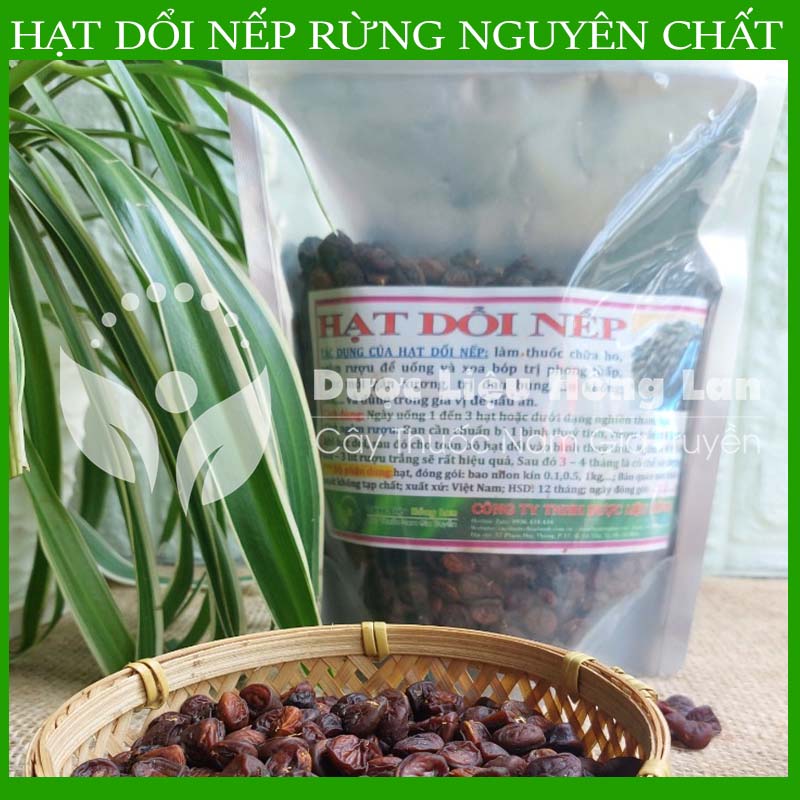 500gram Hạt dổi nếp khô sạch chuẩn rừng loại 1