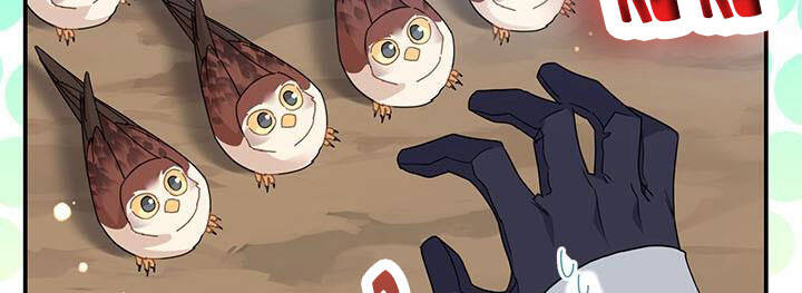 công chúa của loài chim chapter 49 16