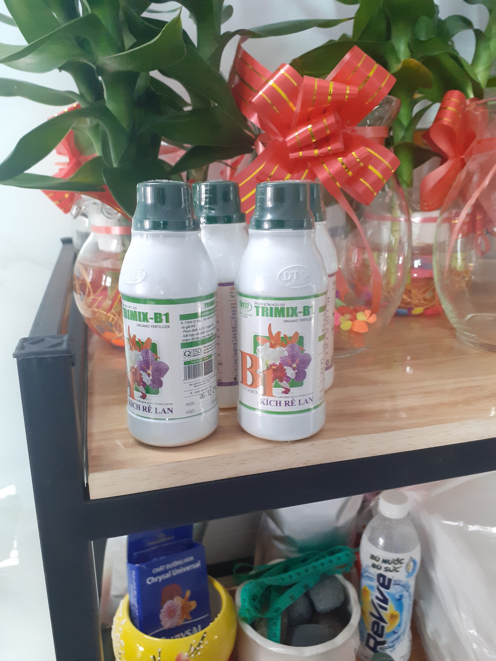 Phân nước Hòa tan nhanh – B1 – Kích rễ Lan – Trimix Vitamin B1